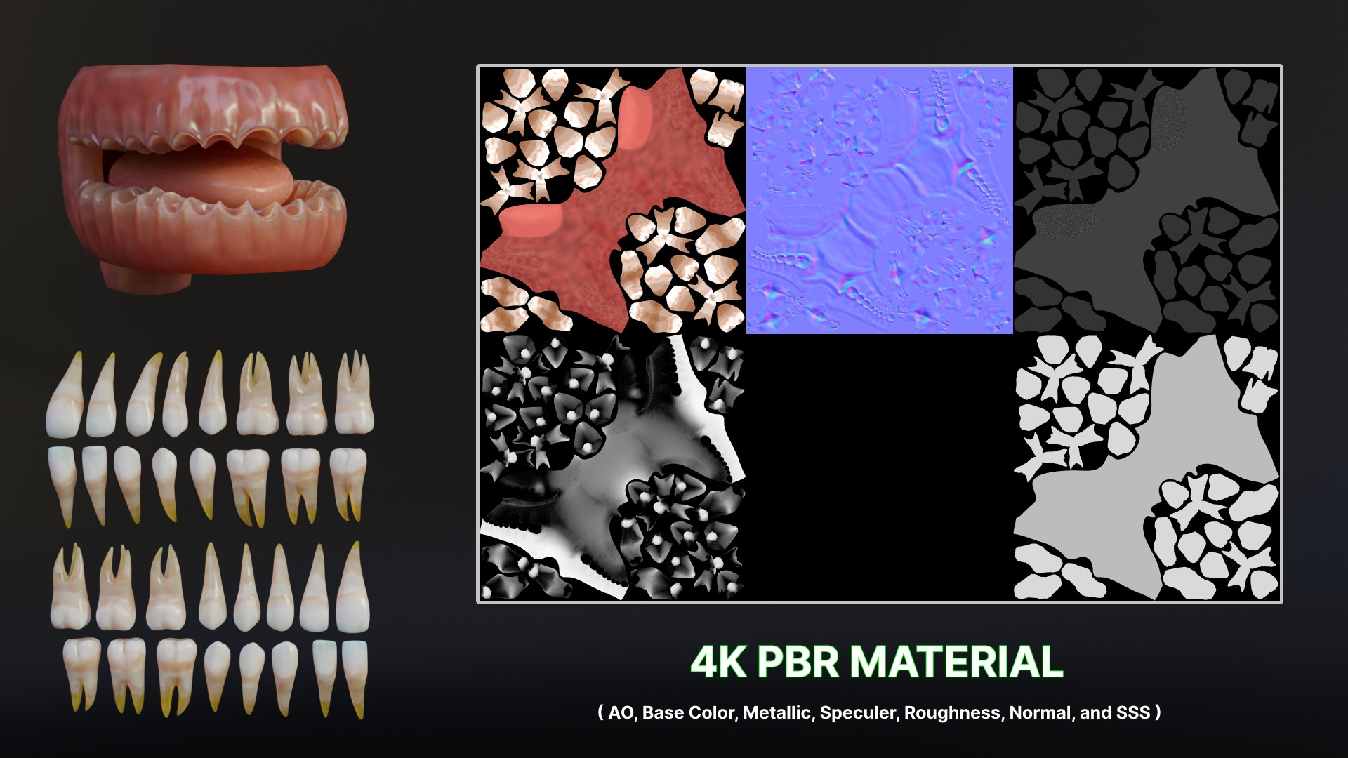Human Mouth with Teeth Tongue and Gums - Rigged Low-poly 3D model_15