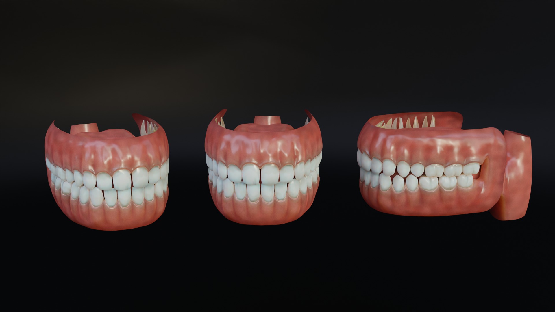 Human Mouth with Teeth Tongue and Gums - Rigged Low-poly 3D model_10