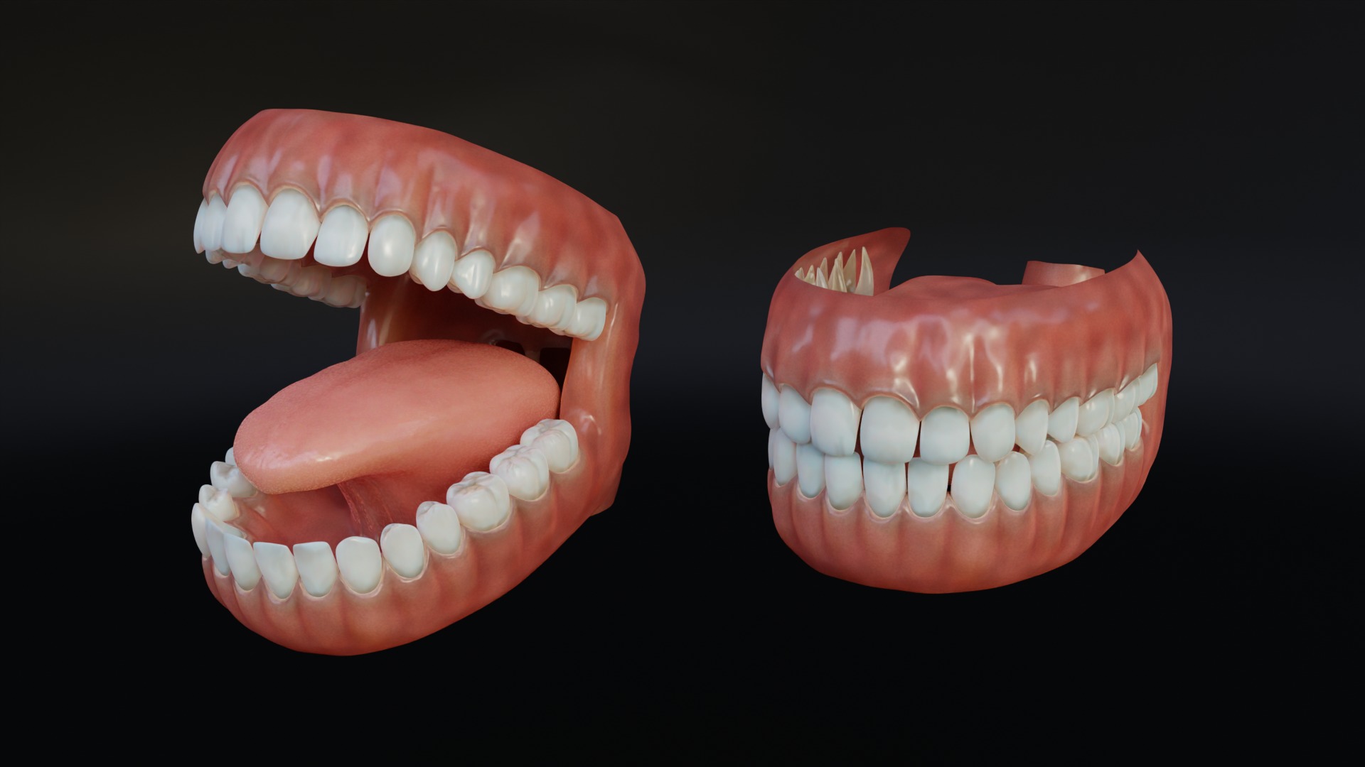 Human Mouth with Teeth Tongue and Gums - Rigged Low-poly 3D model_6
