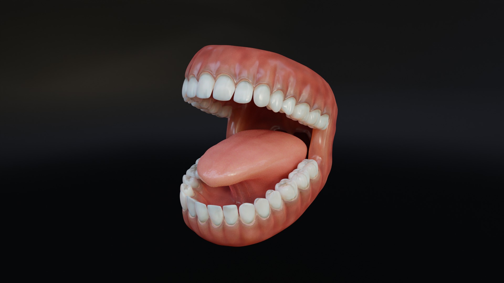 Human Mouth with Teeth Tongue and Gums - Rigged Low-poly 3D model_2