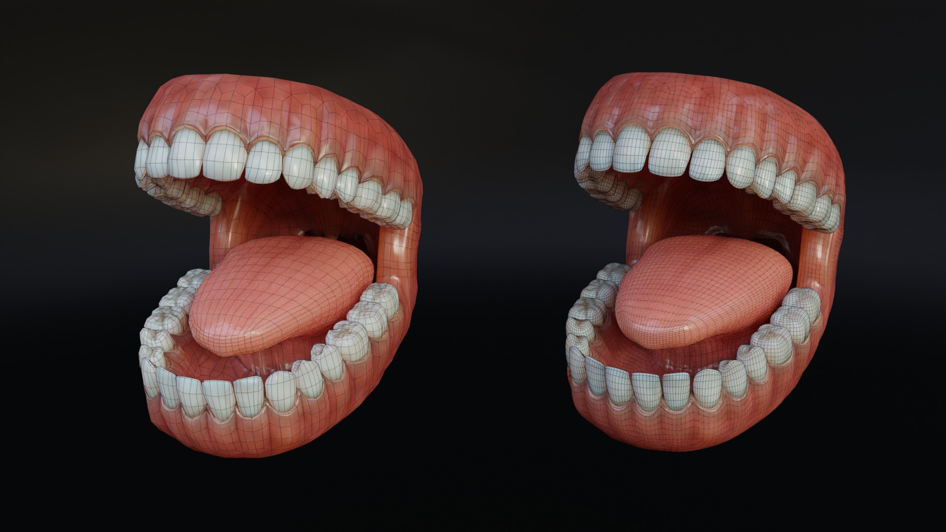 Human Mouth with Teeth Tongue and Gums - Rigged Low-poly 3D model_7