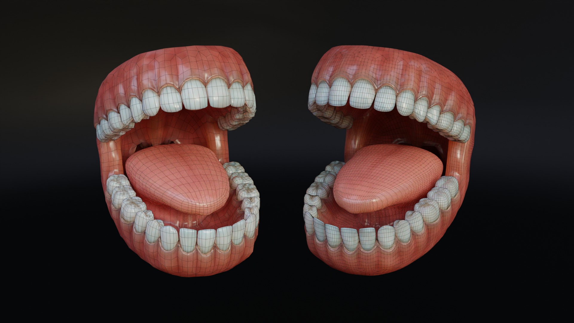 Human Mouth with Teeth Tongue and Gums - Rigged Low-poly 3D model_8