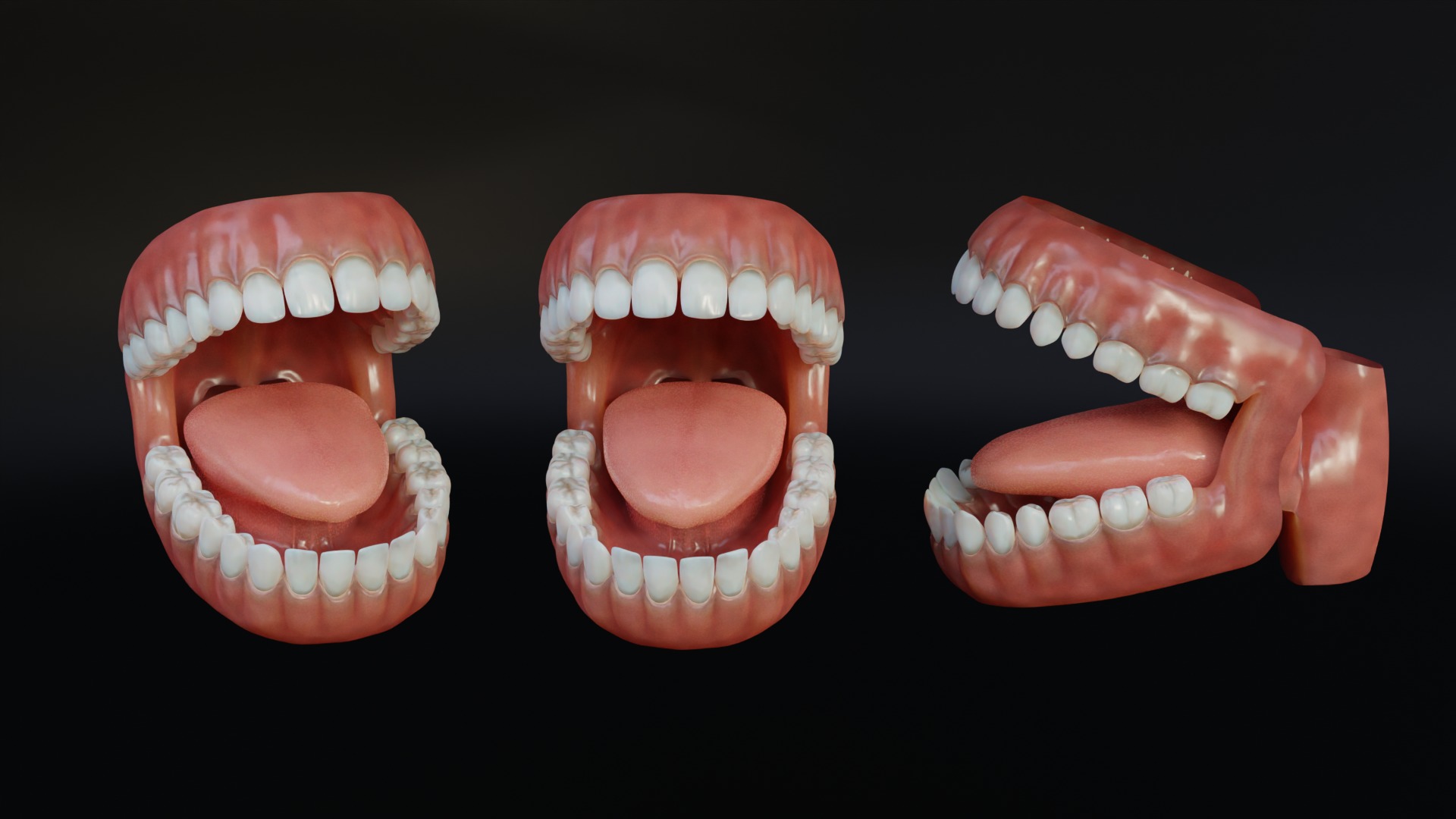 Human Mouth with Teeth Tongue and Gums - Rigged Low-poly 3D model_9