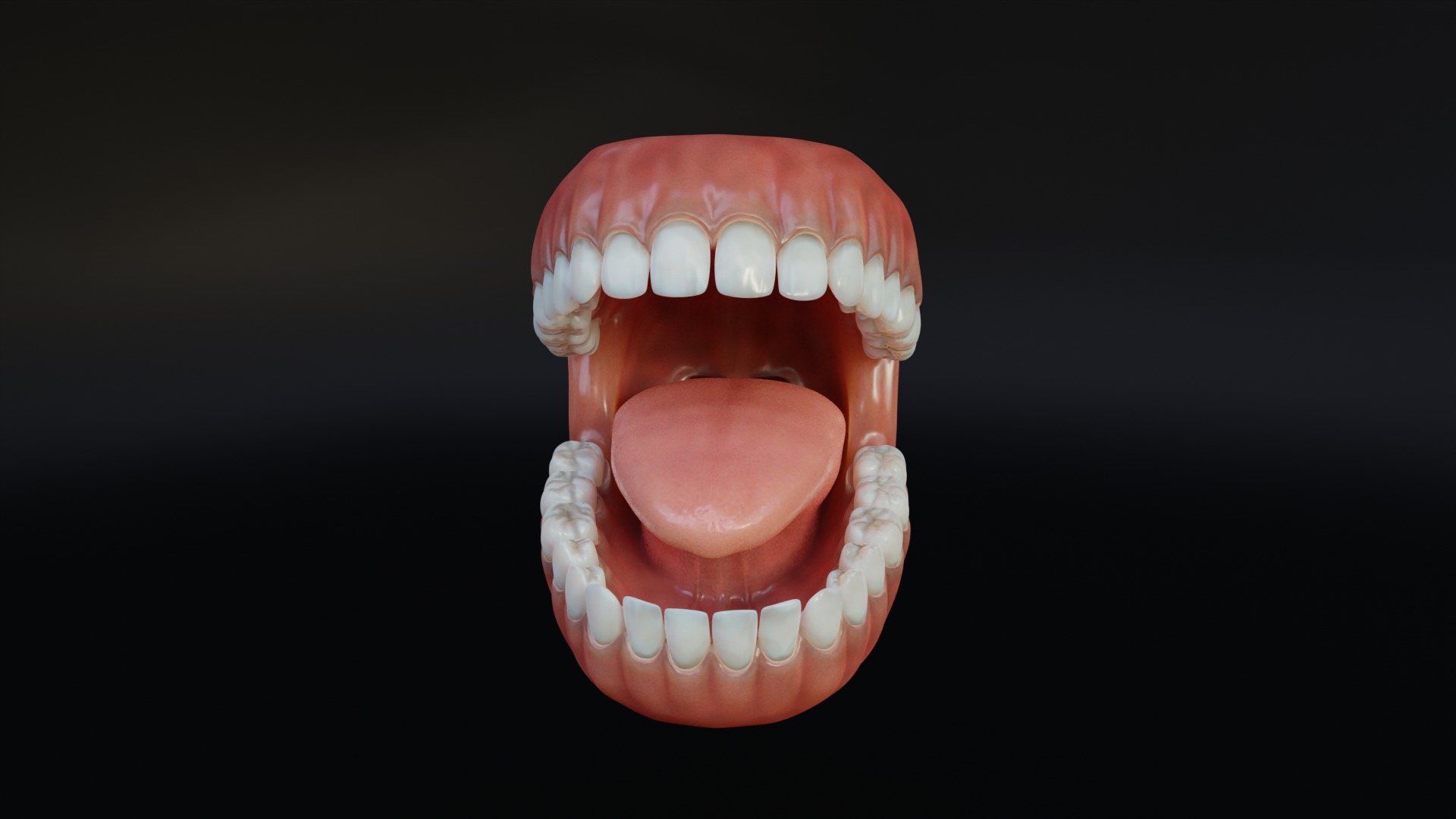 Human Mouth with Teeth Tongue and Gums - Rigged Low-poly 3D model_3