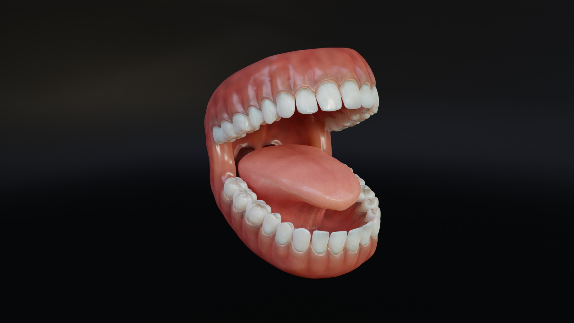 Human Mouth with Teeth Tongue and Gums - Rigged Low-poly 3D model_4