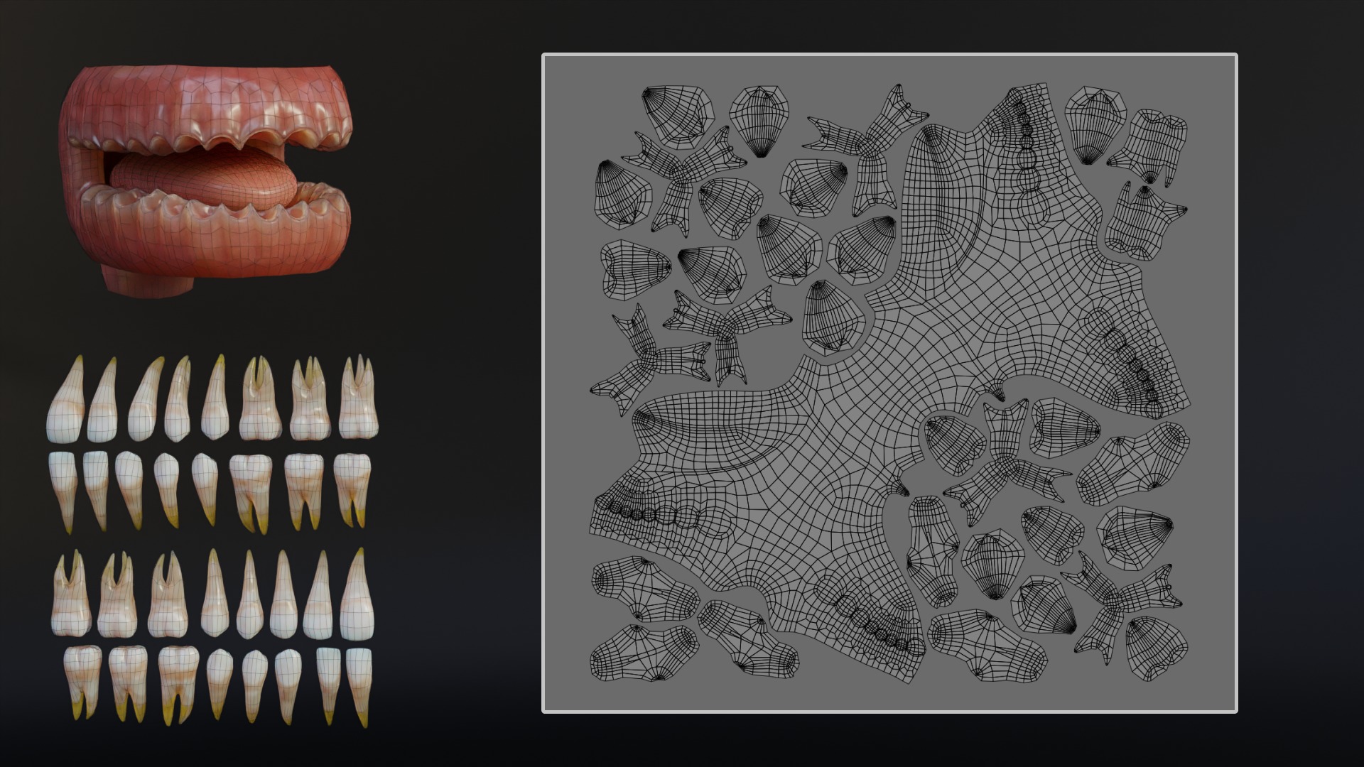 Human Mouth with Teeth Tongue and Gums - Rigged Low-poly 3D model_16