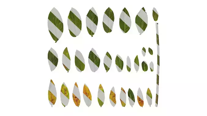 Anydrafts Cuphea Leaf 02