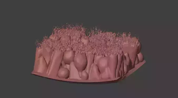 3D Model of the Epithelium of the Trachea