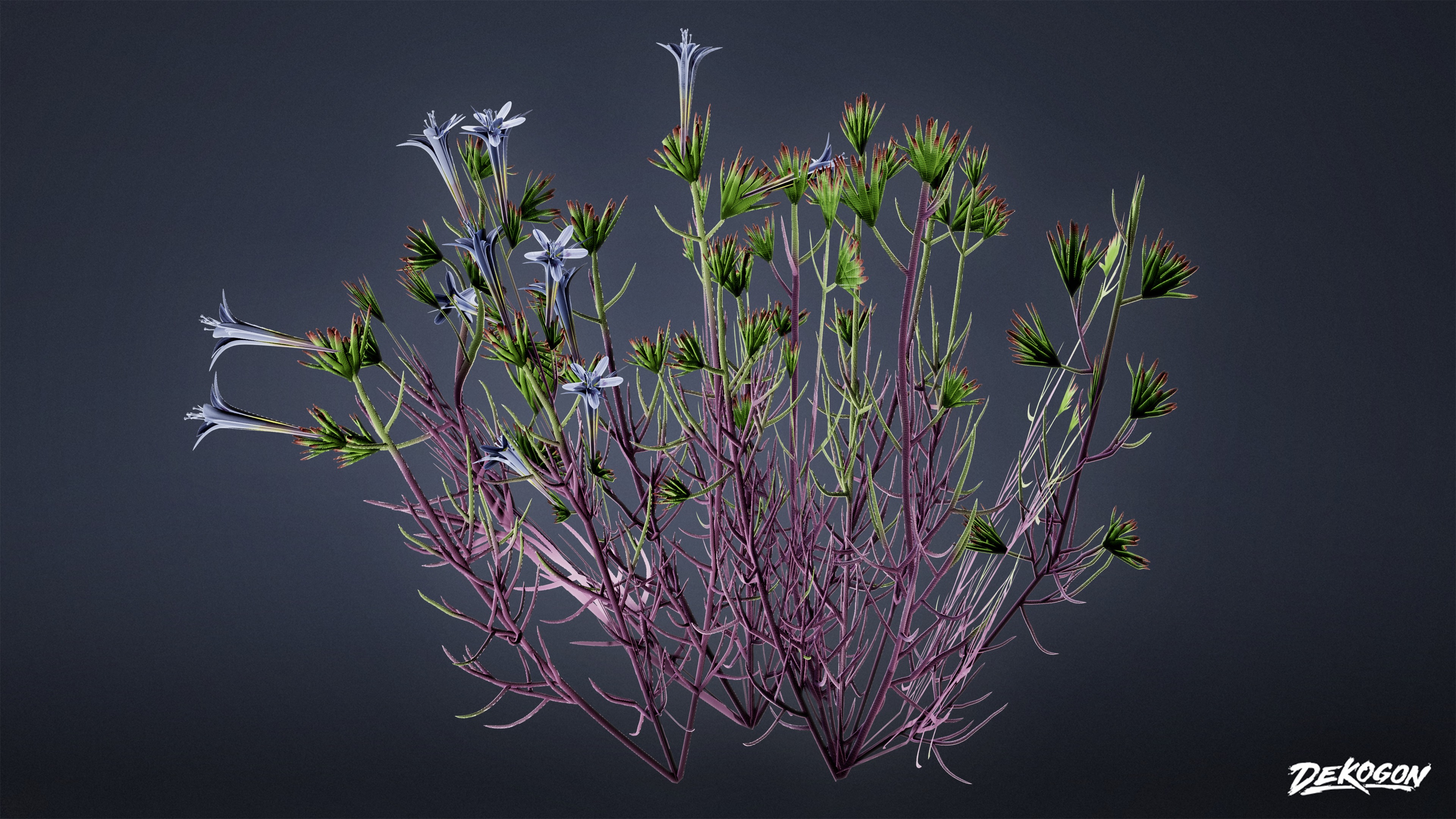 FOLIAGE - Desert Wool Star - LOW POLY Low-poly 3D model_1