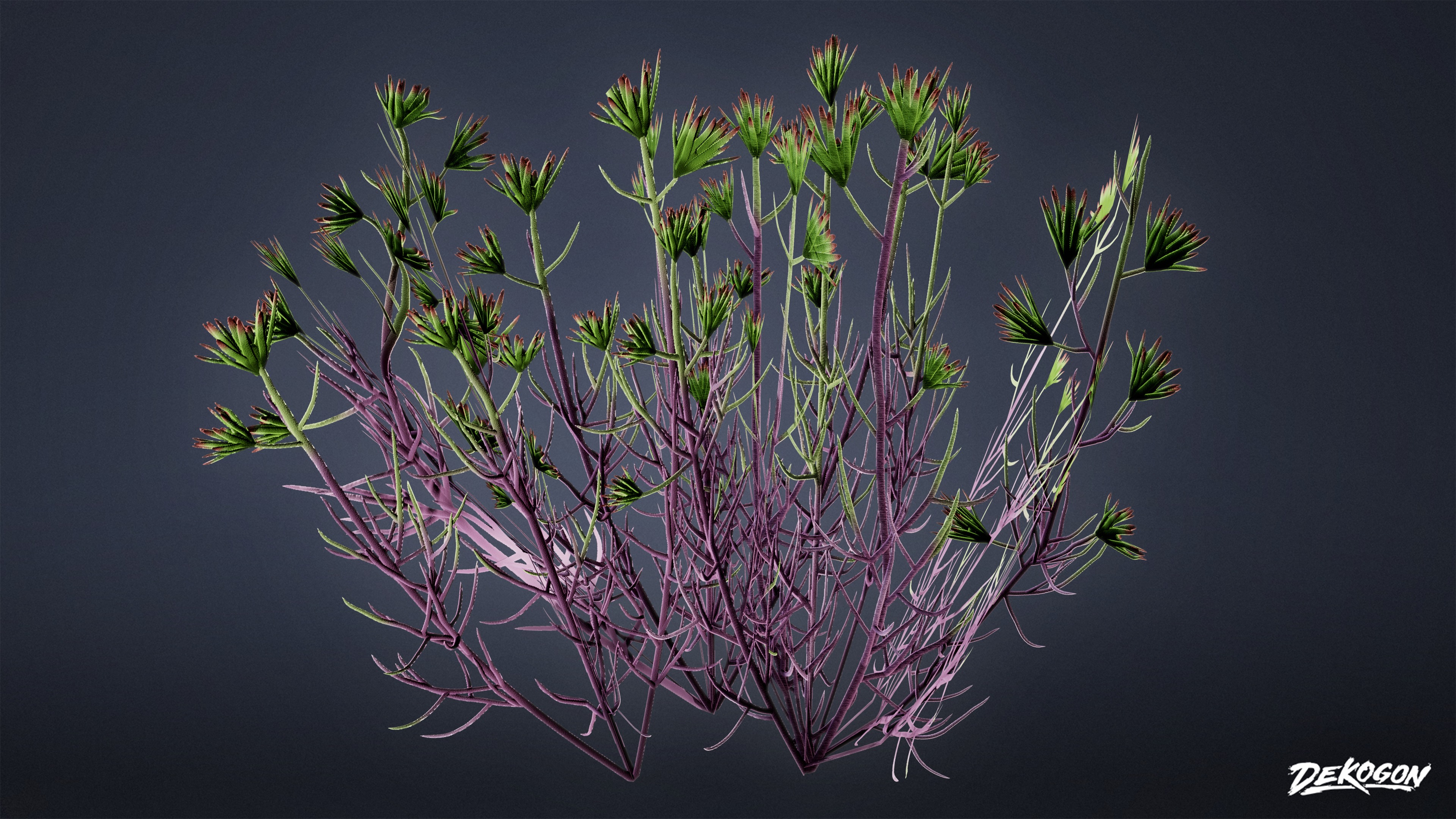 FOLIAGE - Desert Wool Star - LOW POLY Low-poly 3D model_4