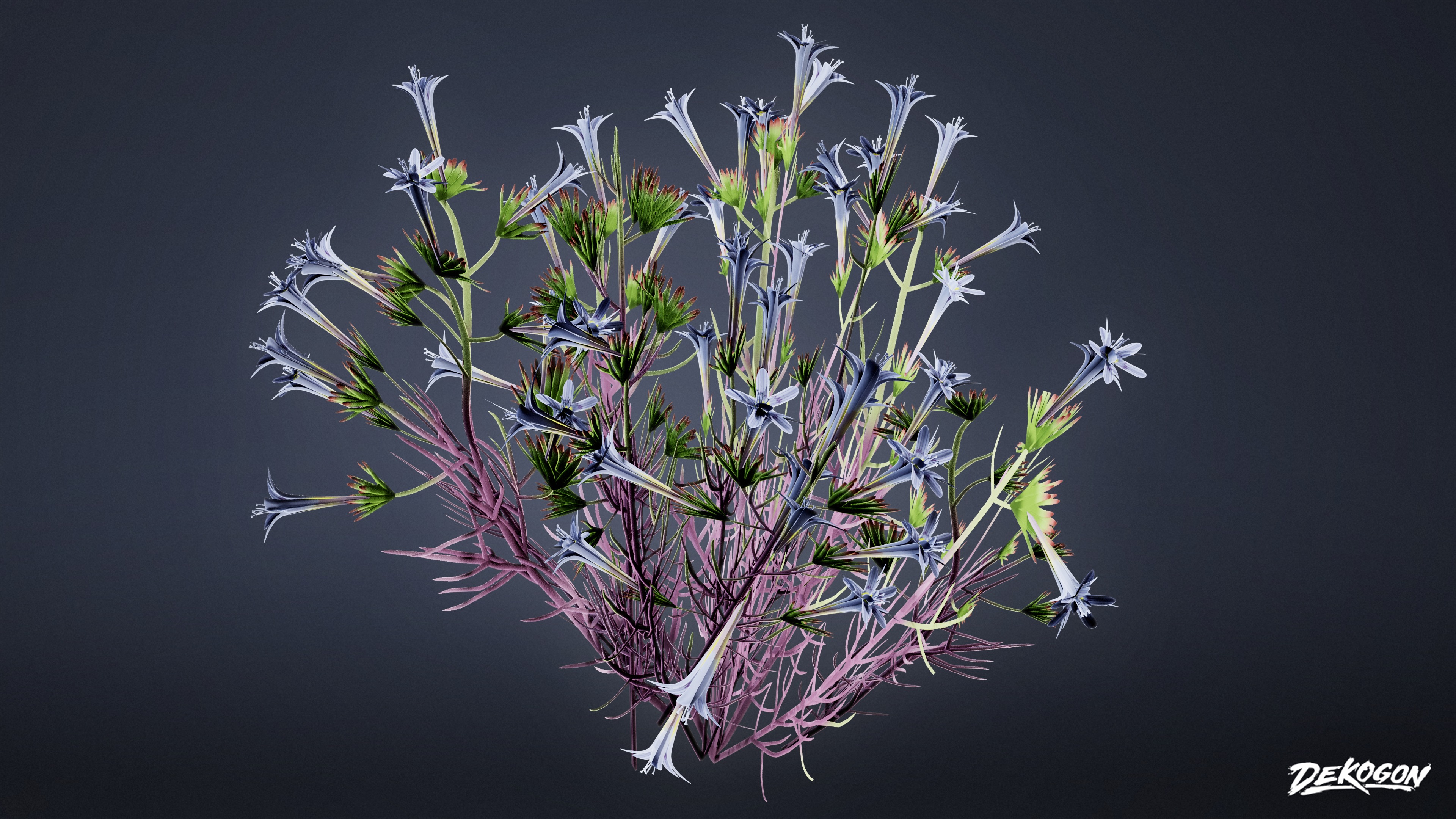 FOLIAGE - Desert Wool Star - LOW POLY Low-poly 3D model_2