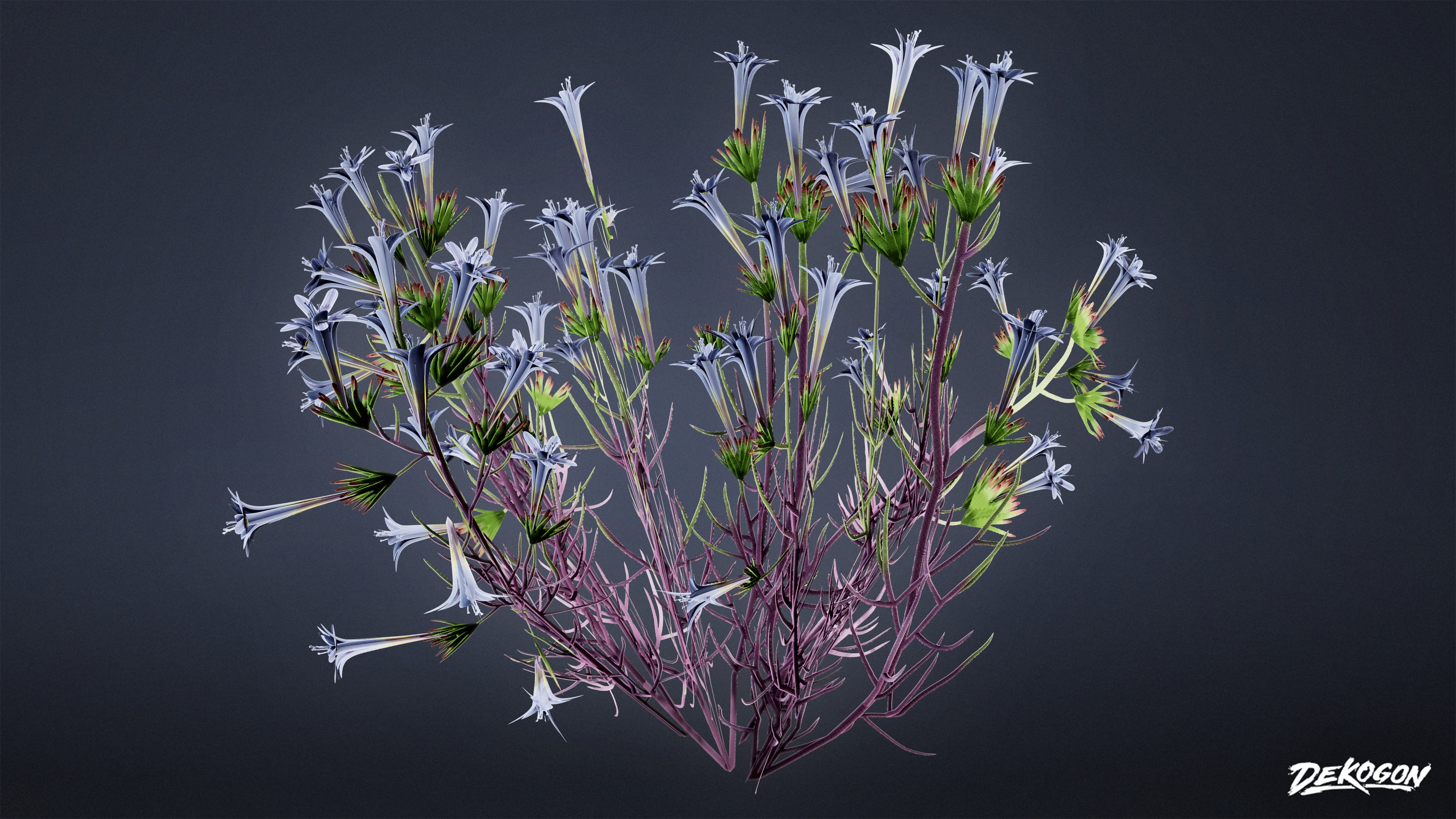 FOLIAGE - Desert Wool Star - LOW POLY Low-poly 3D model_3