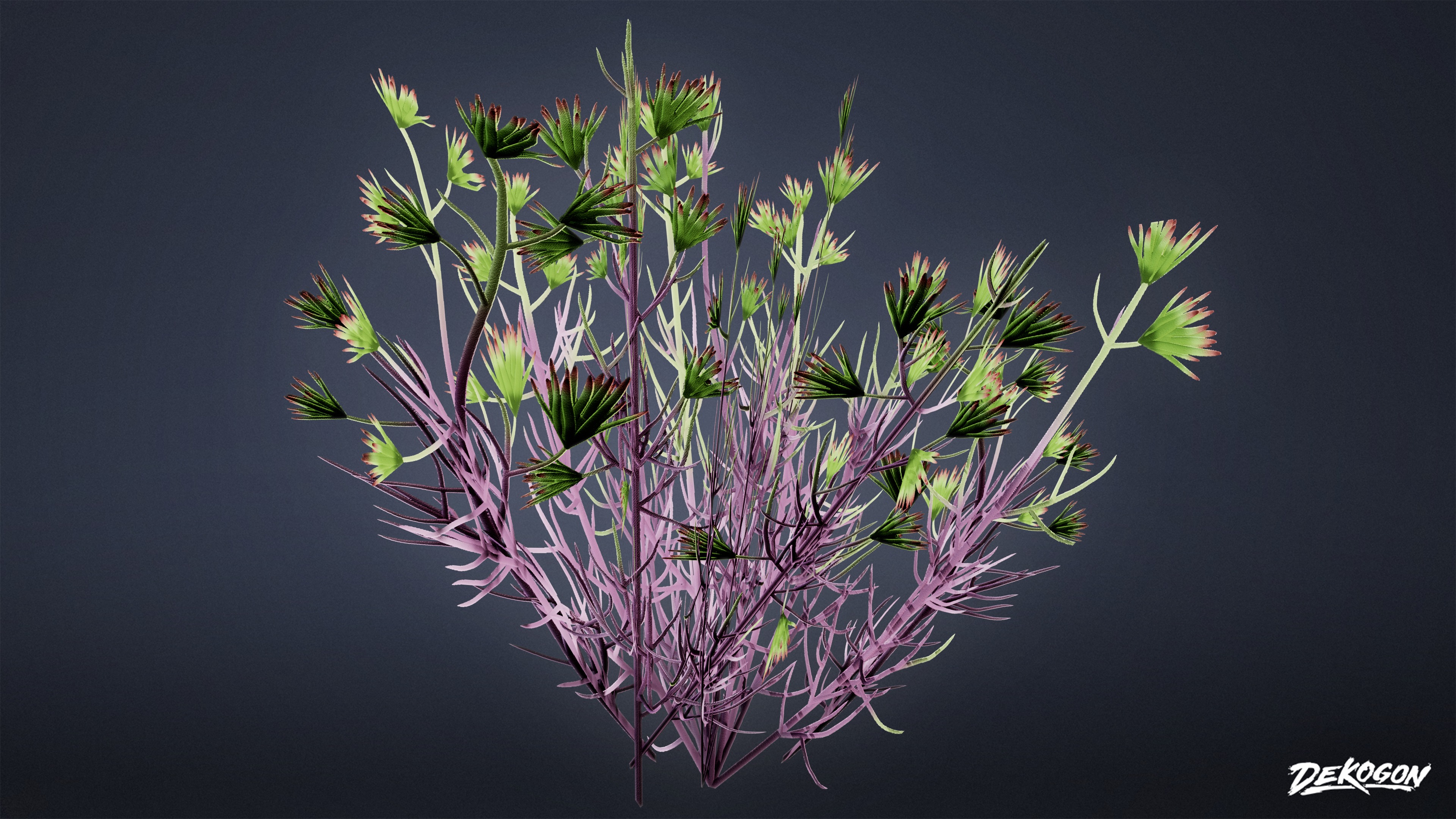 FOLIAGE - Desert Wool Star - LOW POLY Low-poly 3D model_5