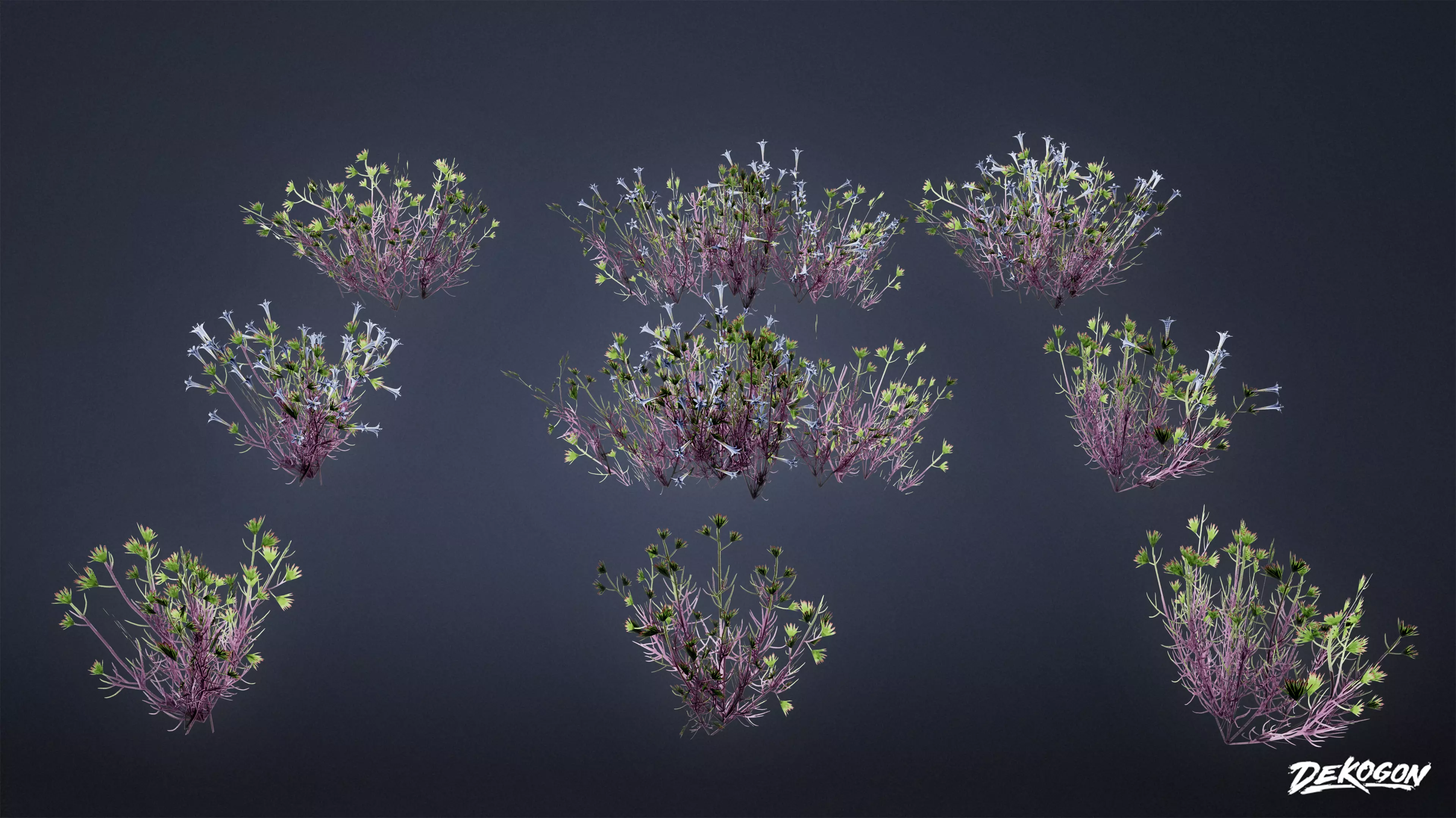 FOLIAGE - Desert Wool Star - LOW POLY Low-poly 3D model_0