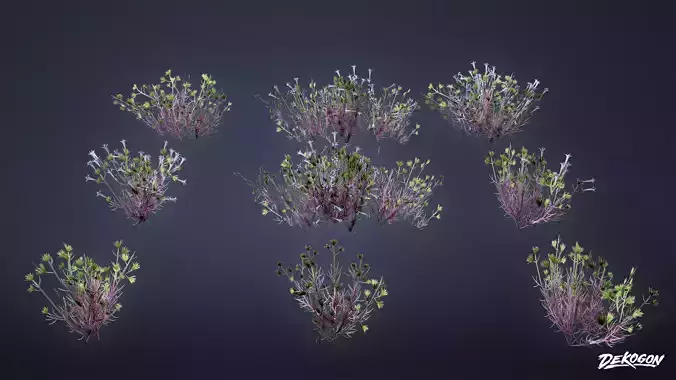 FOLIAGE - Desert Wool Star - LOW POLY