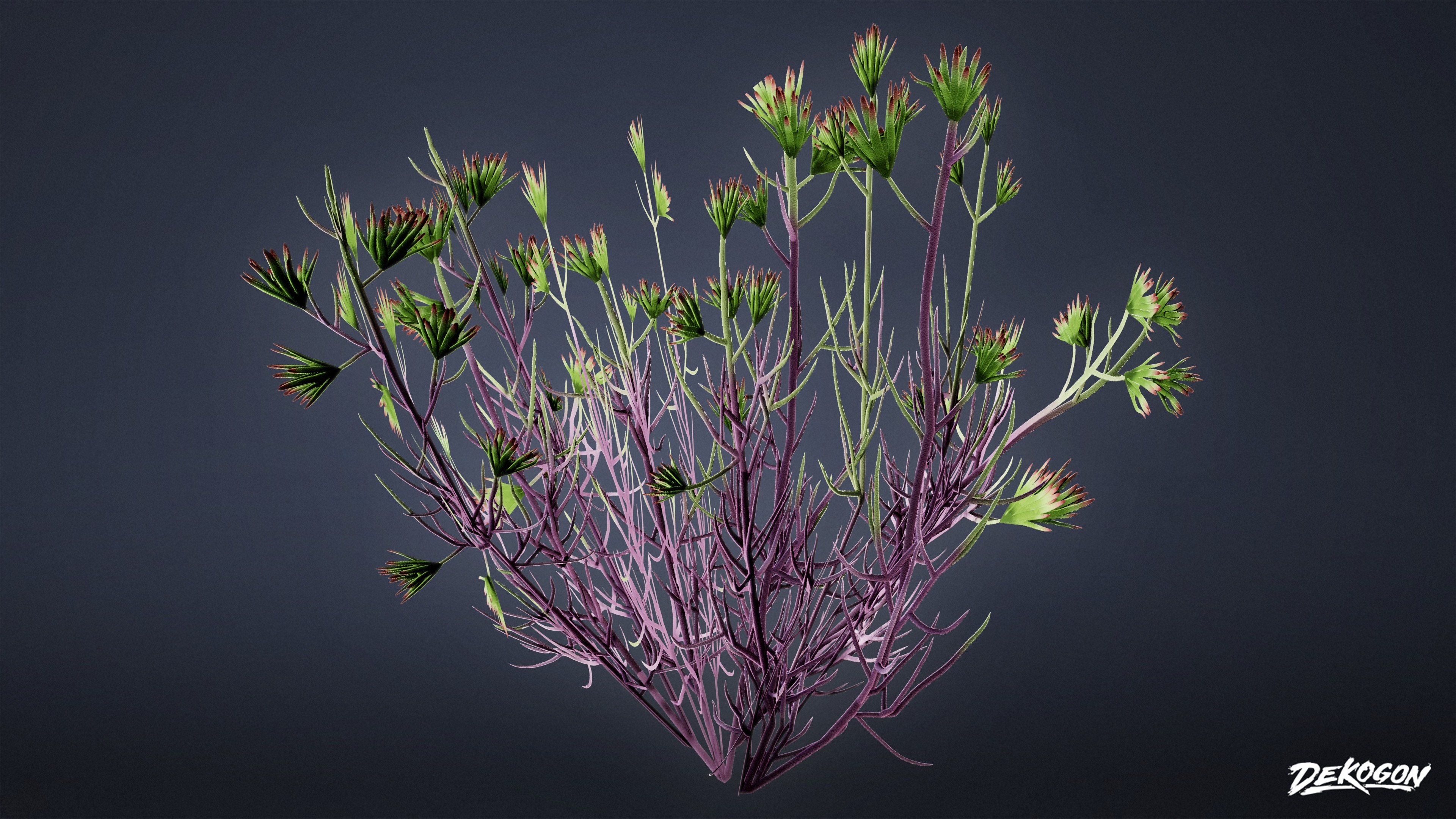 FOLIAGE - Desert Wool Star - LOW POLY Low-poly 3D model_6