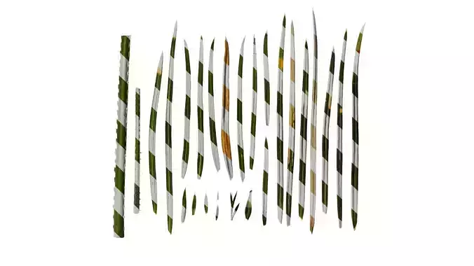 Anydrafts Cycas revoluta Leaf 01