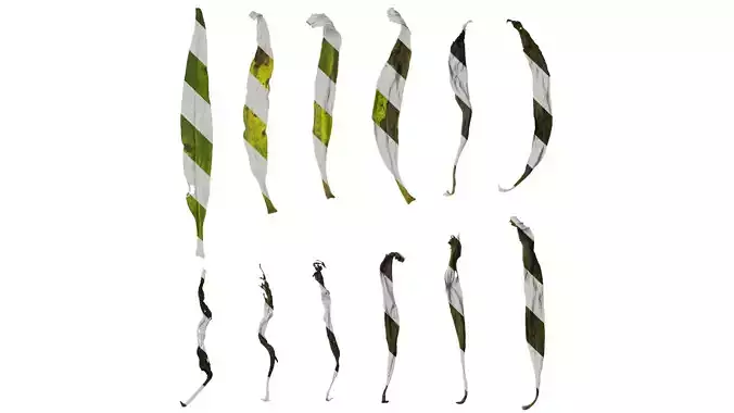 Anydrafts Echium candicans Leaf 02