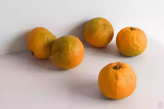 Orange 3D model