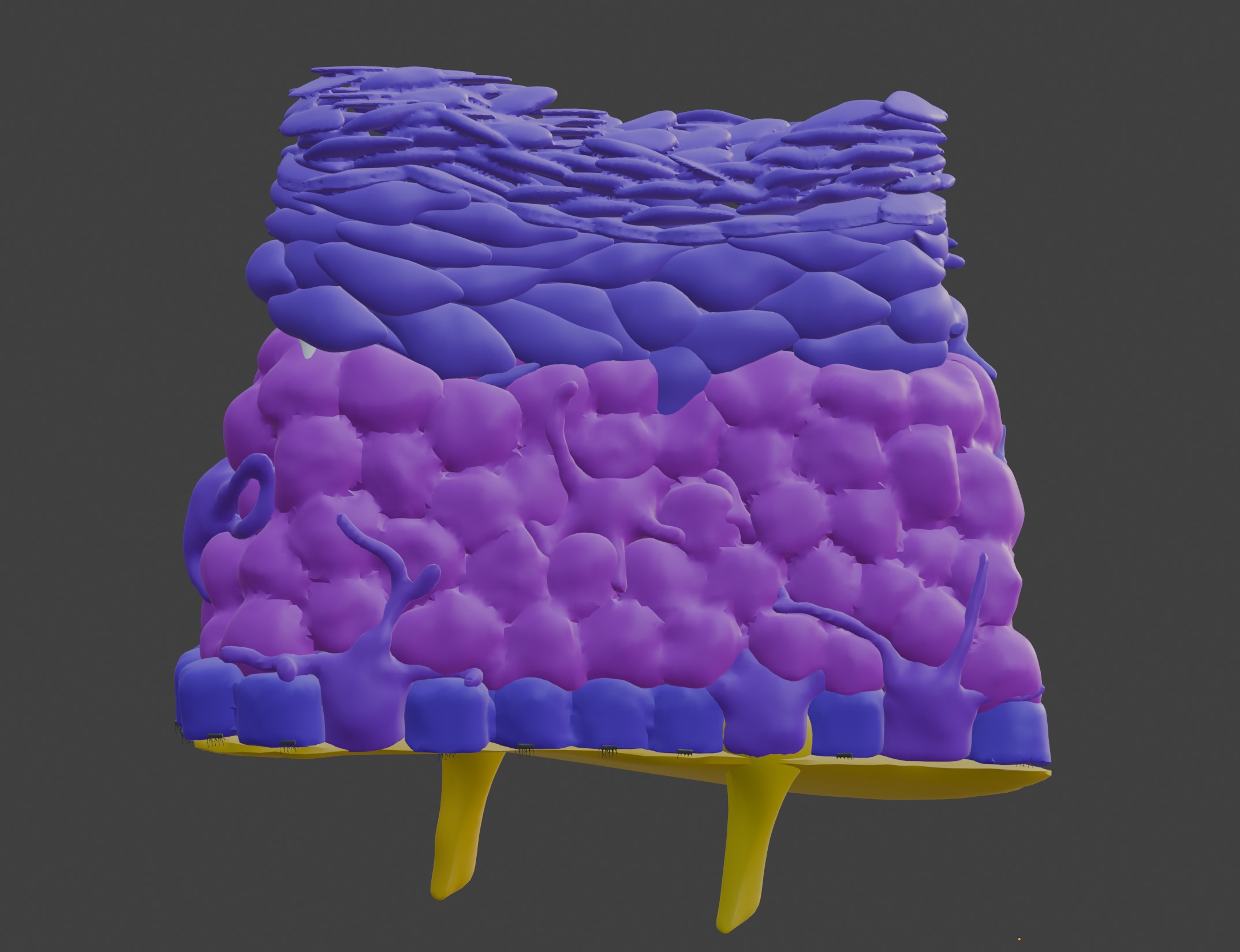 3D Model of the Epithelium of the Skin 3D print model_3