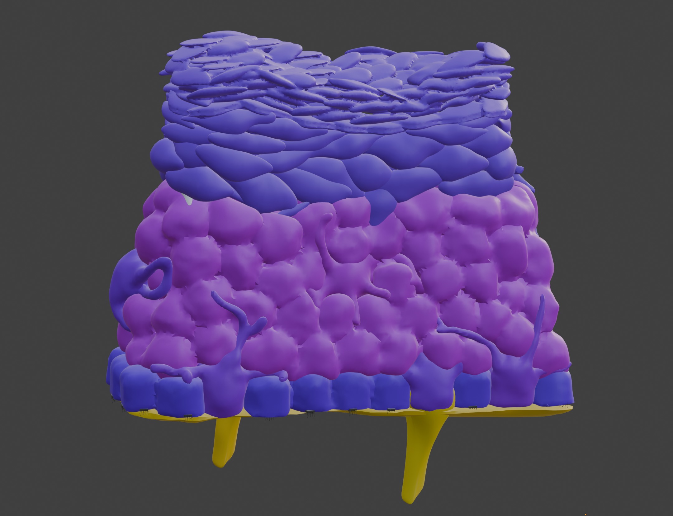 3D Model of the Epithelium of the Skin 3D print model_2