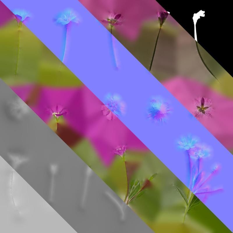 Anydrafts Epilobium pyrricholophum Atlas 03 Texture_8