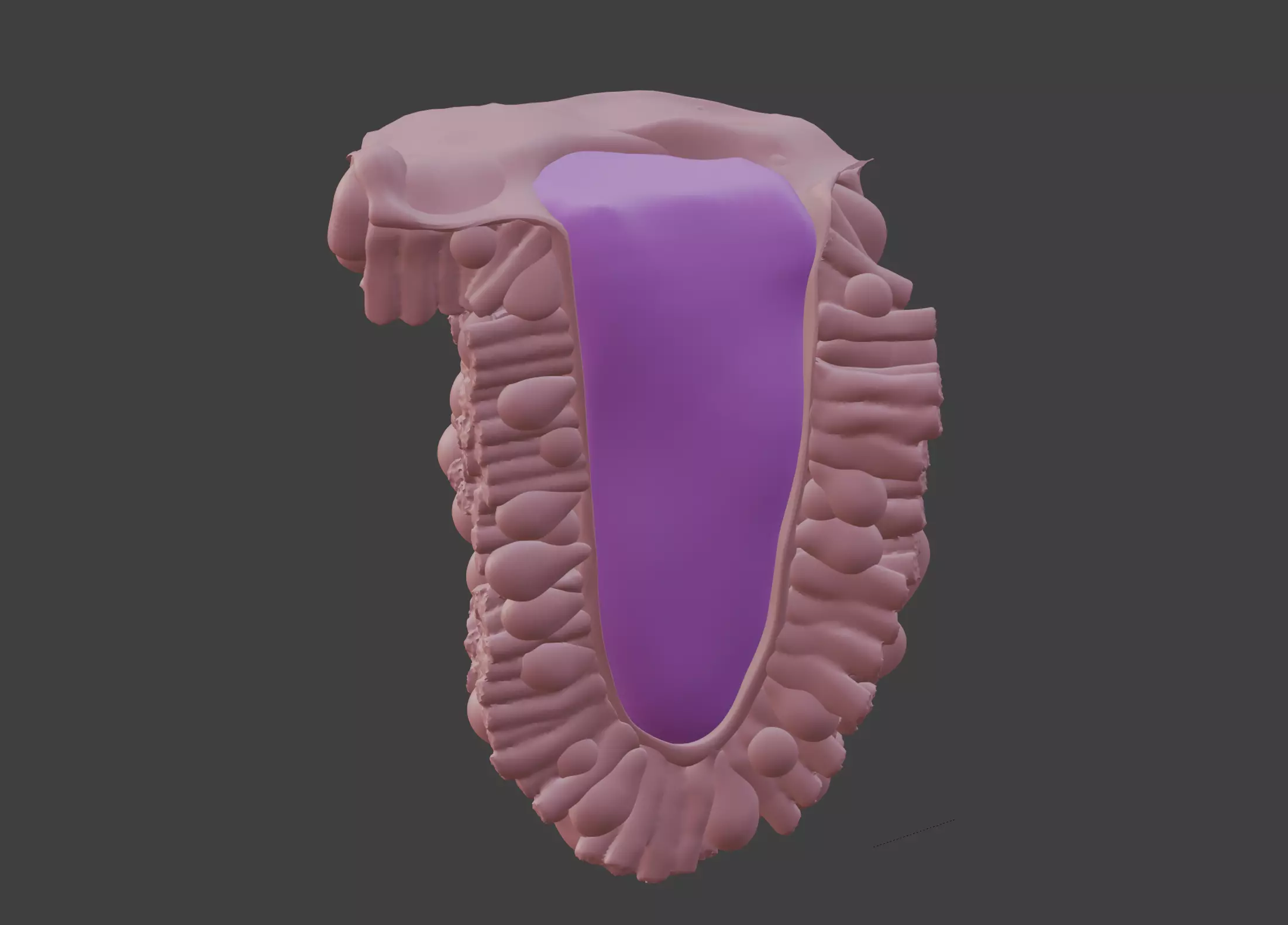 3D Model of the Epithelium of the Duodenum 3D print model_0