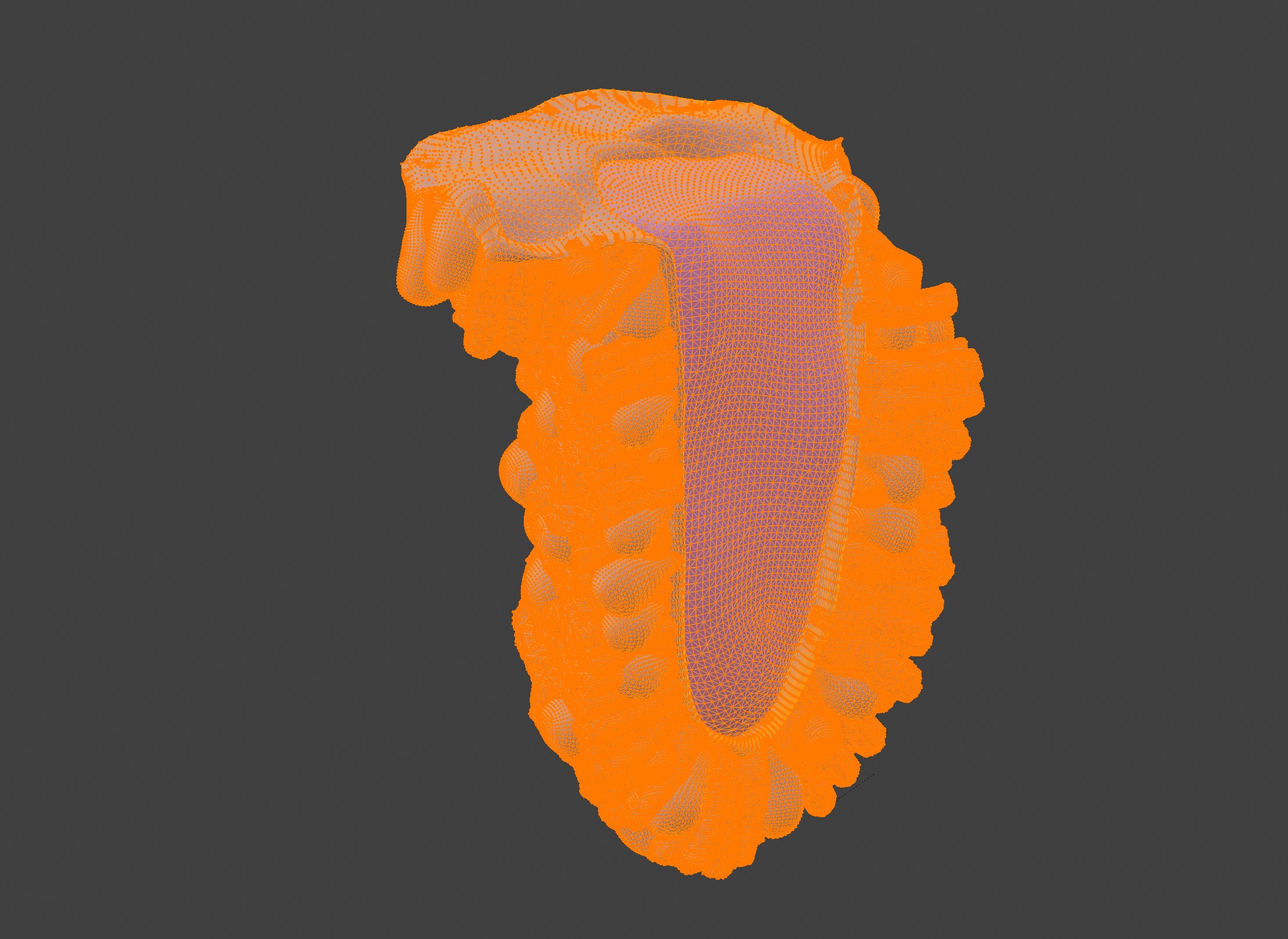 3D Model of the Epithelium of the Duodenum 3D print model_9