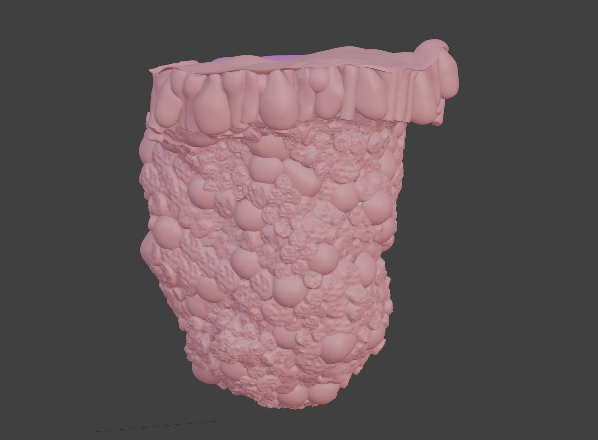 3D Model of the Epithelium of the Duodenum 3D print model_7