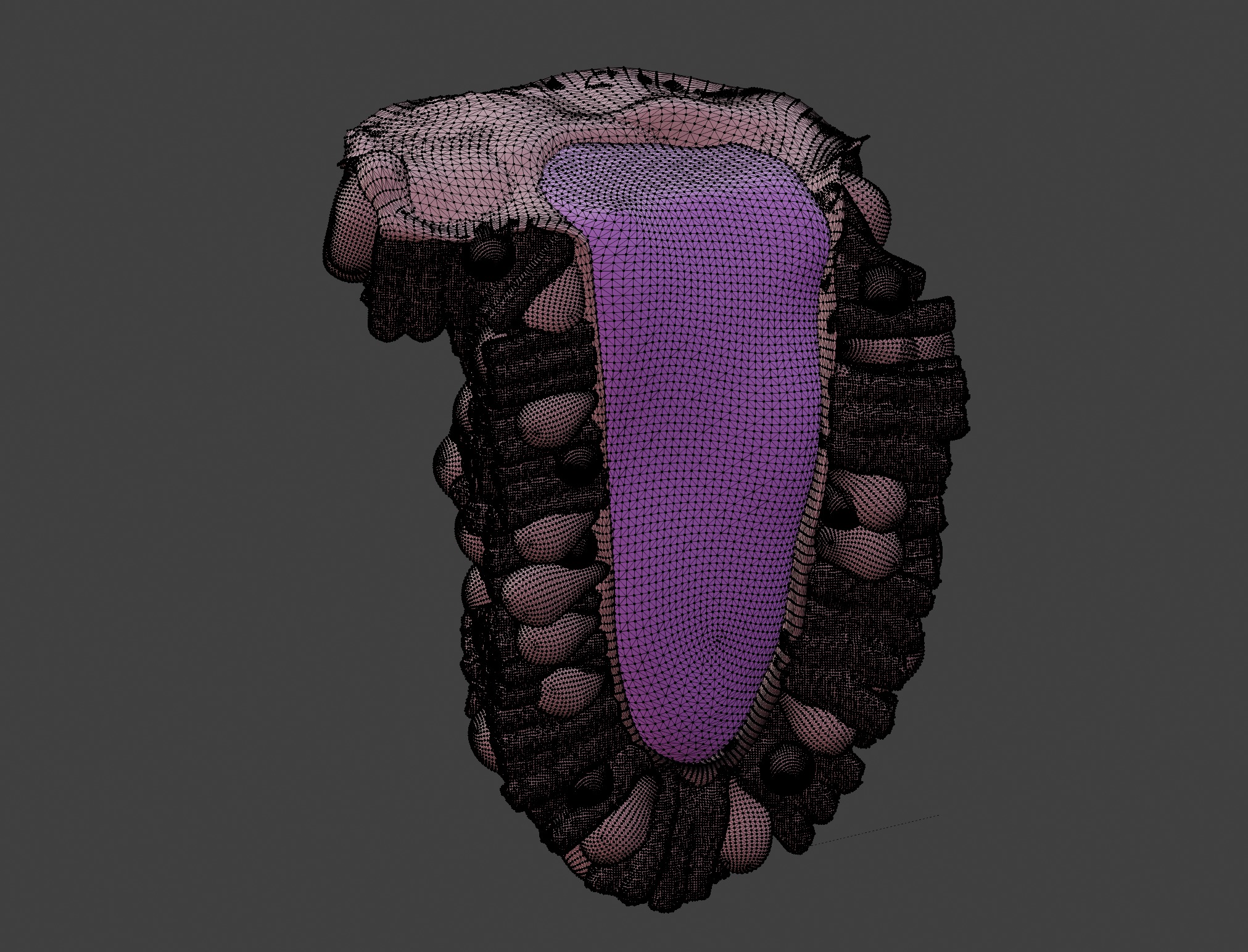 3D Model of the Epithelium of the Duodenum 3D print model_2