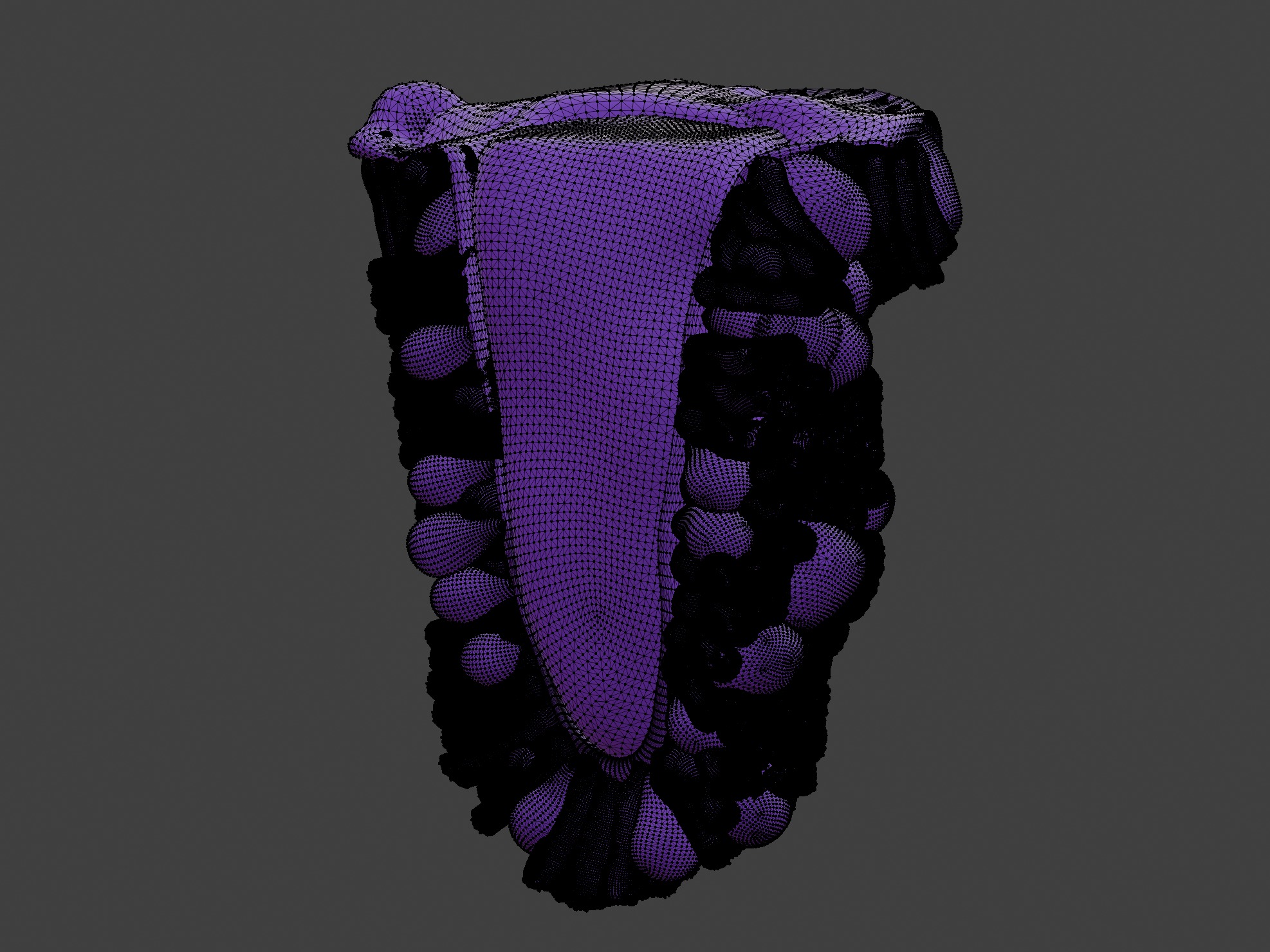 3D Model of the Epithelium of the Duodenum v2 3D print model_4