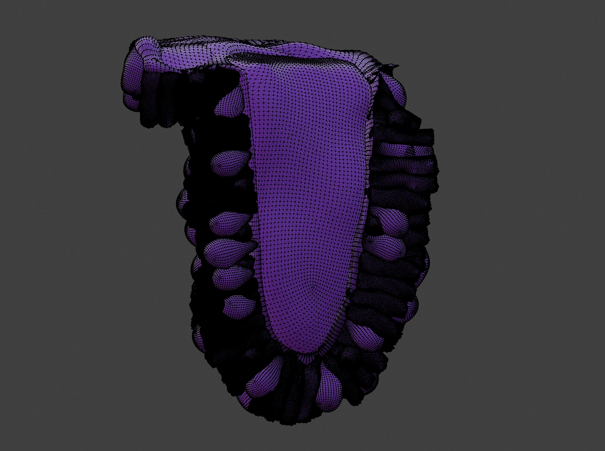 3D Model of the Epithelium of the Duodenum v2 3D print model_3