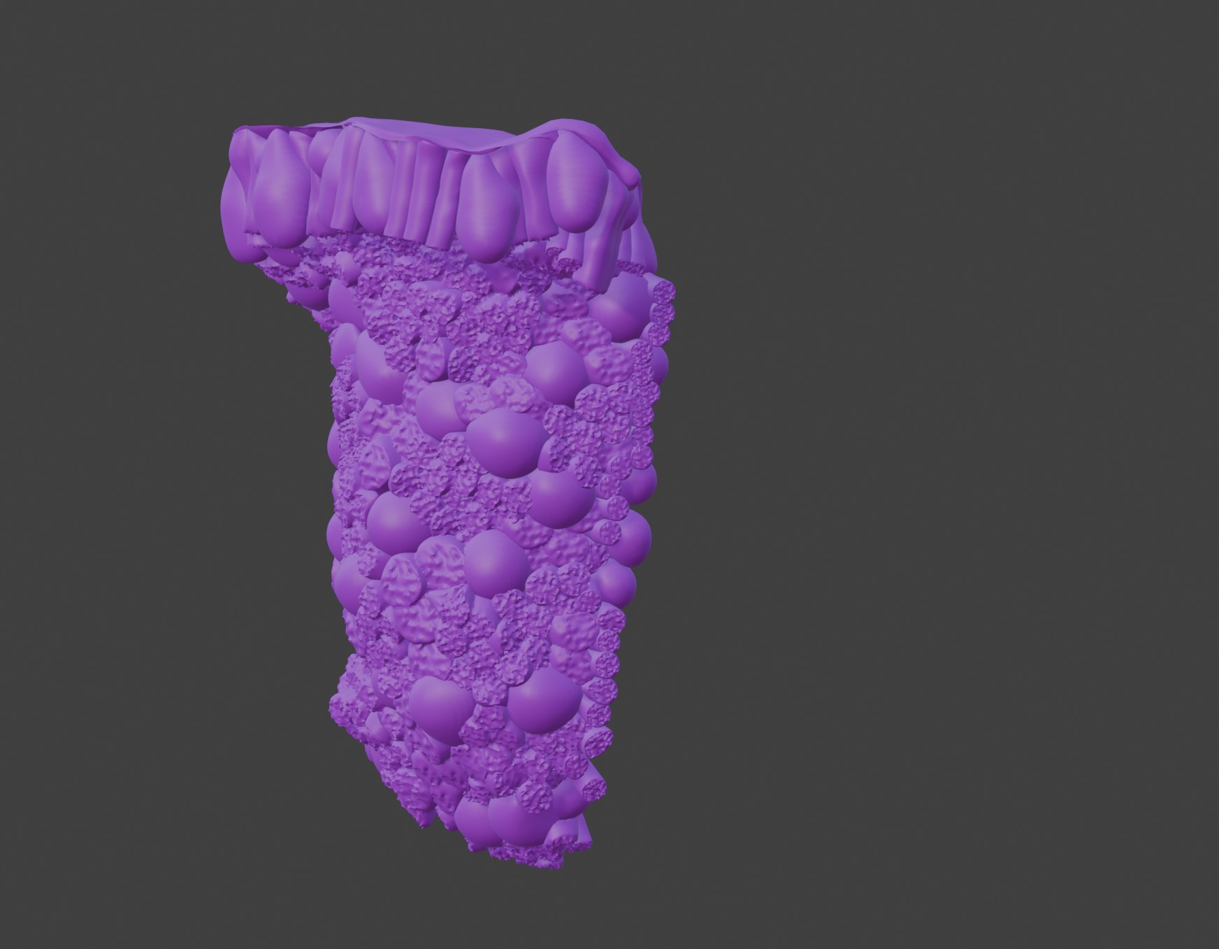3D Model of the Epithelium of the Duodenum v2 3D print model_8