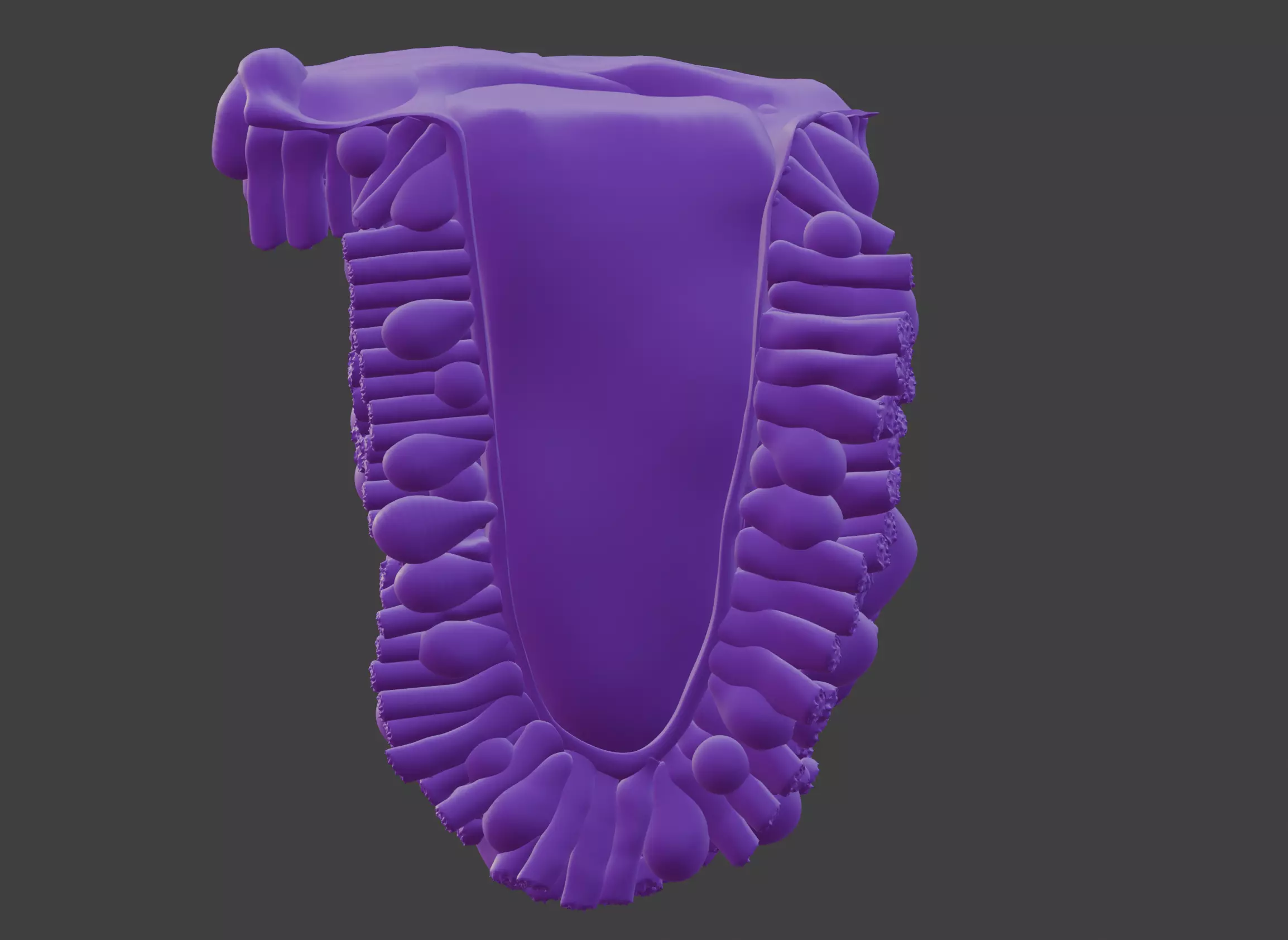 3D Model of the Epithelium of the Duodenum v2 3D print model_0