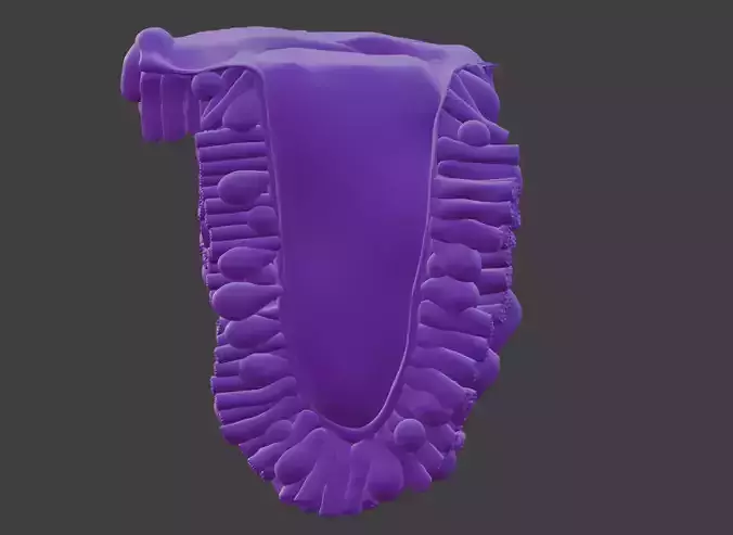 3D Model of the Epithelium of the Duodenum v2 3D print model