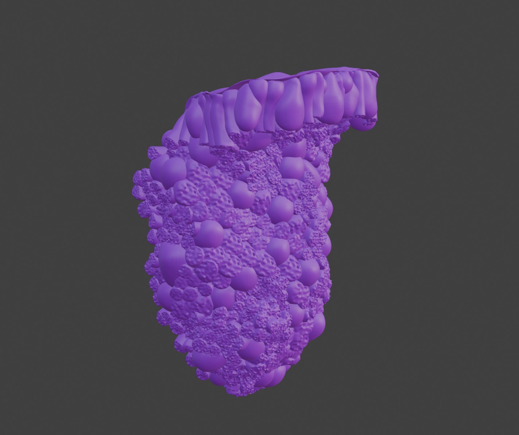 3D Model of the Epithelium of the Duodenum v2 3D print model_7