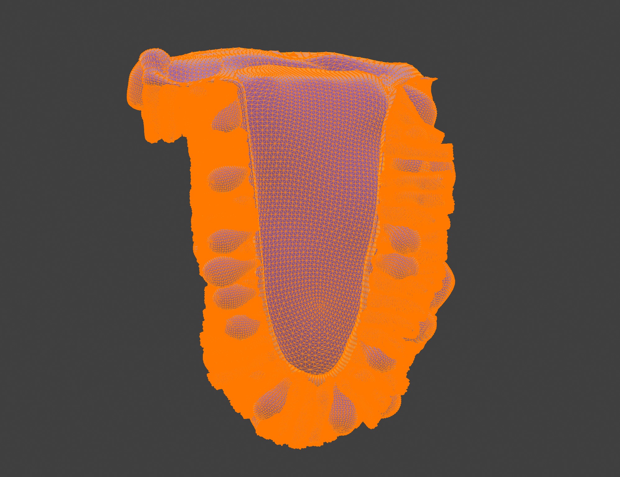 3D Model of the Epithelium of the Duodenum v2 3D print model_10