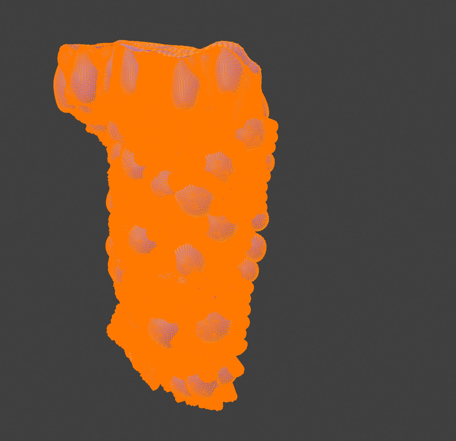 3D Model of the Epithelium of the Duodenum v2 3D print model_1