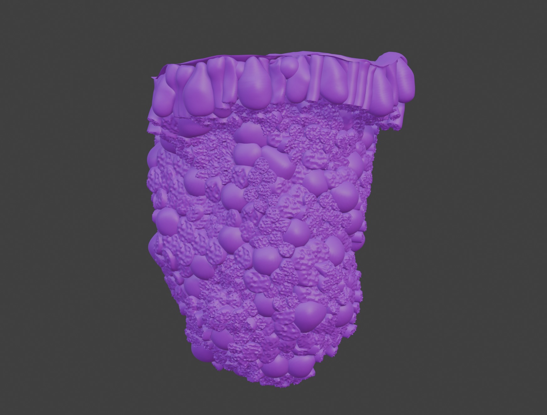 3D Model of the Epithelium of the Duodenum v2 3D print model_9