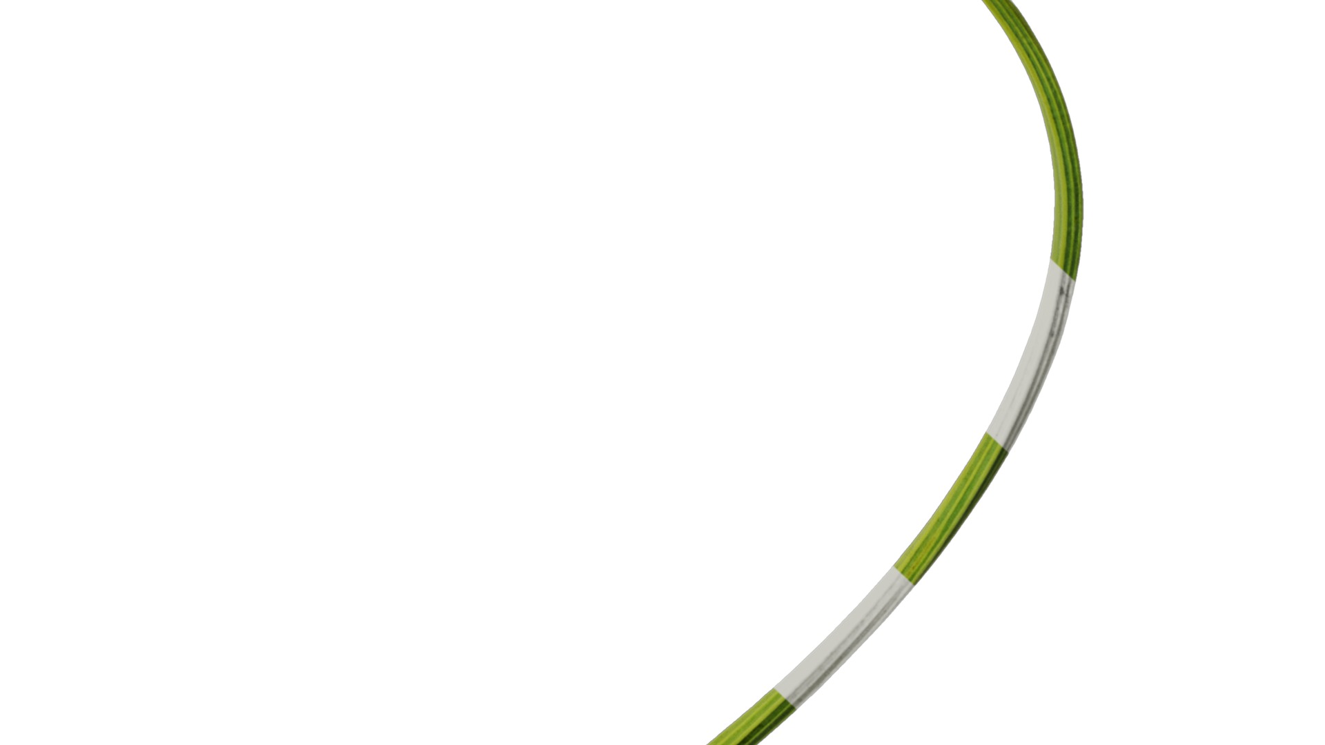 Anydrafts Eschscholzia californica Flower 05 Texture_6