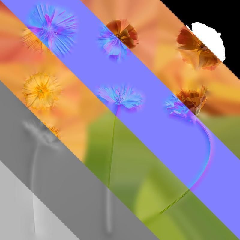 Anydrafts Eschscholzia californica Flower 05 Texture_8