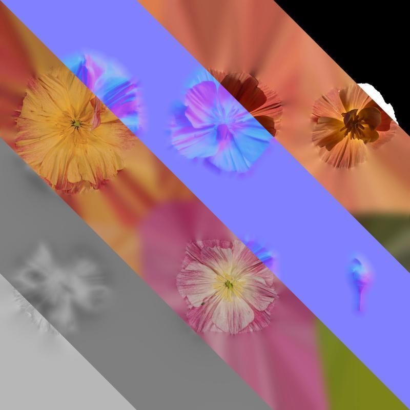 Anydrafts Eschscholzia californica Flower 09 Texture_8