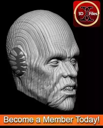Pau an - Star Wars Head Sculpt - Custom Action Figure  3D print model