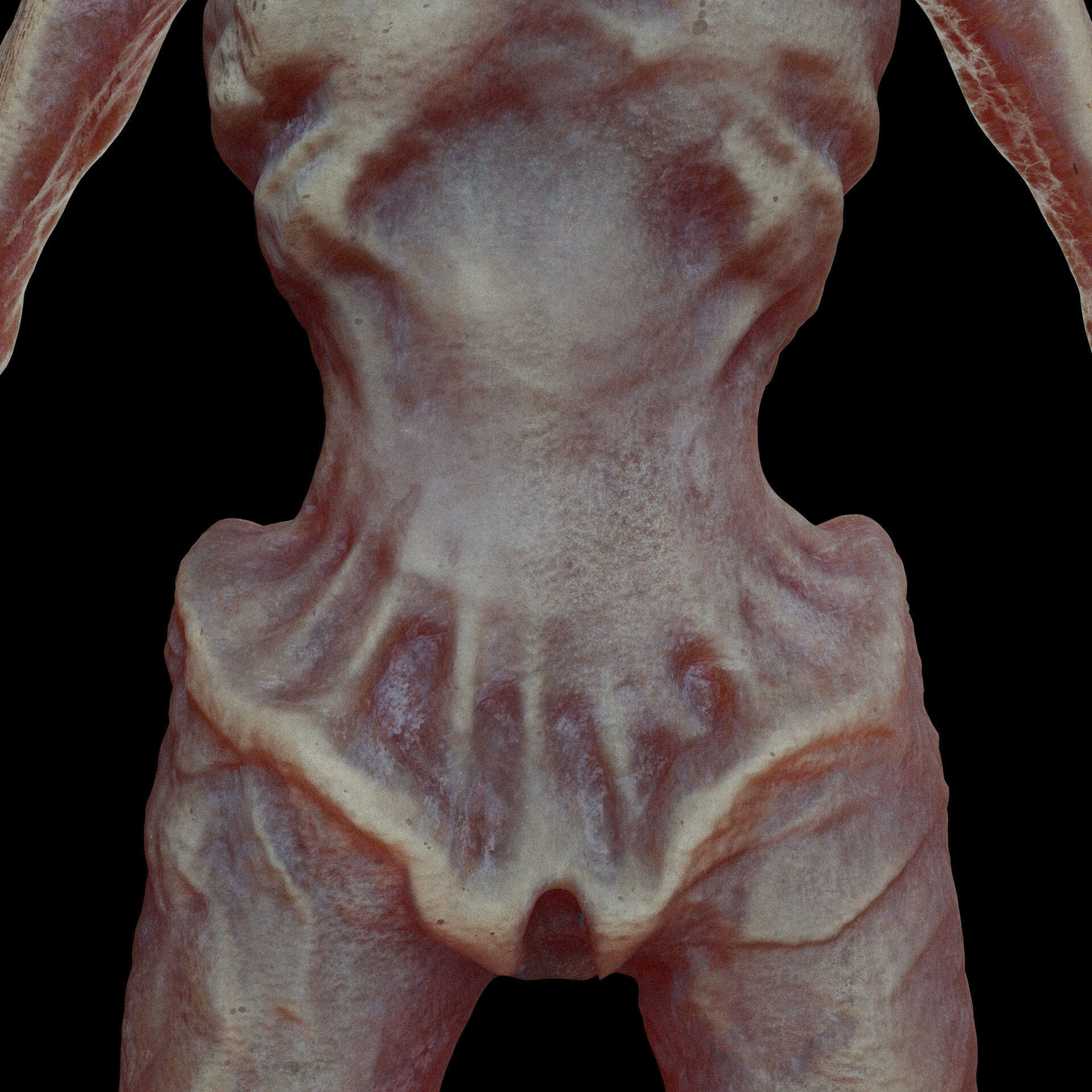 Santa Claus 3D model_3