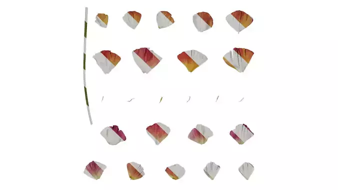 Anydrafts Eschscholzia californica Flower 11