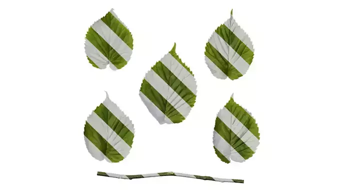 Anydrafts Davidia involucrata Leaf 03