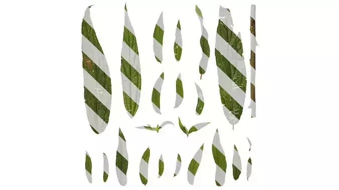 Anydrafts Debregeasia orientalis Leaf 01