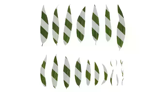 Anydrafts Debregeasia orientalis Leaf 03