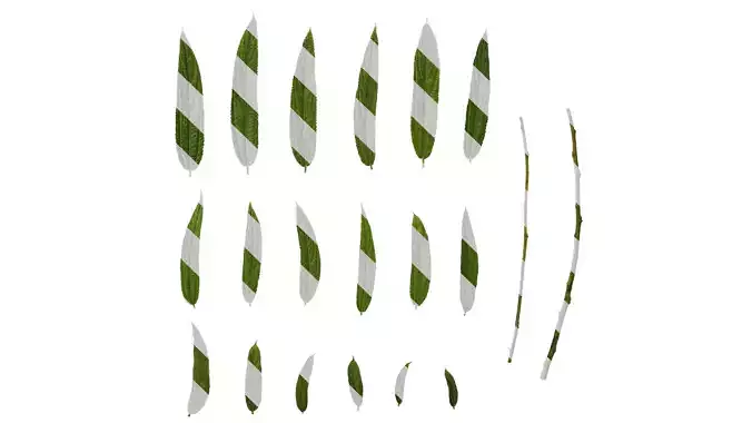 Anydrafts Debregeasia orientalis Leaf 05