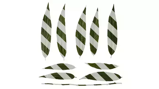 Anydrafts Debregeasia orientalis Leaf 06